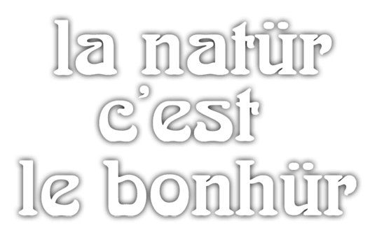 Gal Natür